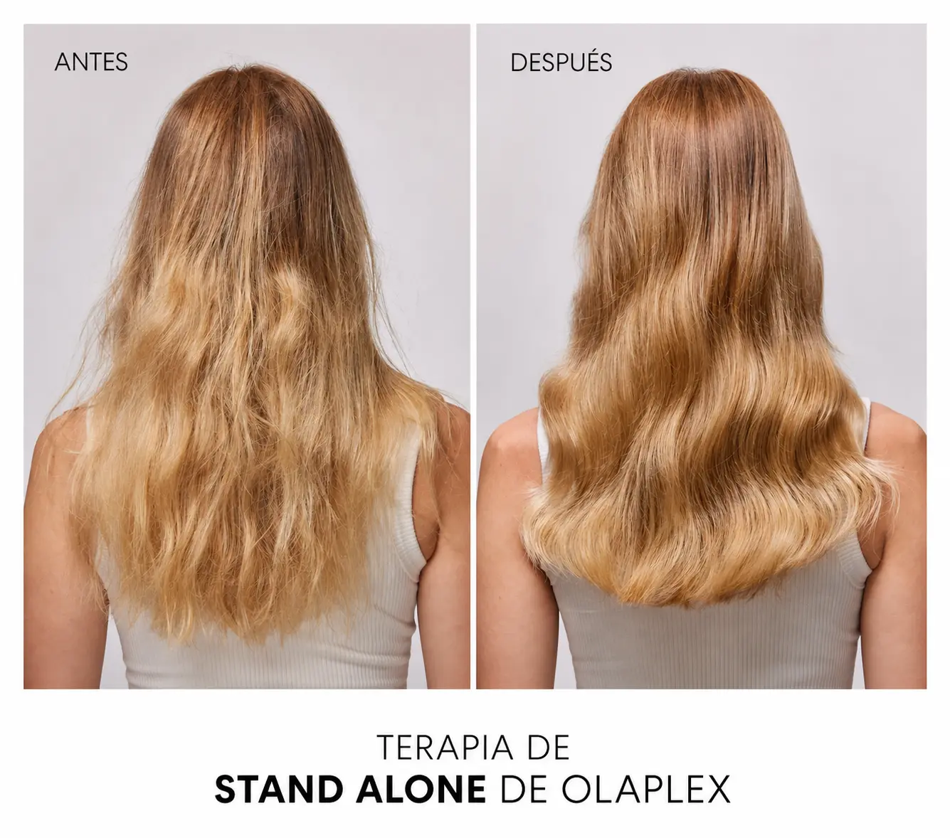 terapia de rizos y stand alone de olaplex en carola vogue concon viña del mar